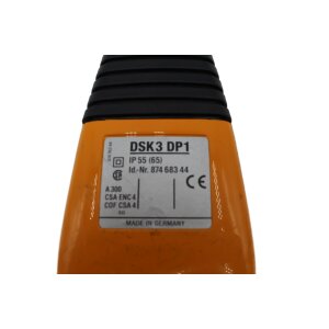 Demag DSK3 DP1 Flaschensteuerung Steuerflasche...