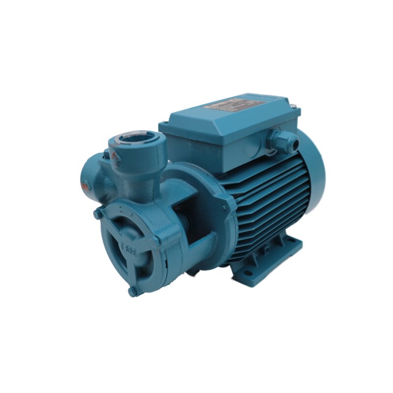 Calpeda T65E-R Pumpe Peripheralpumpe Zahnradpumpe peripheral pump