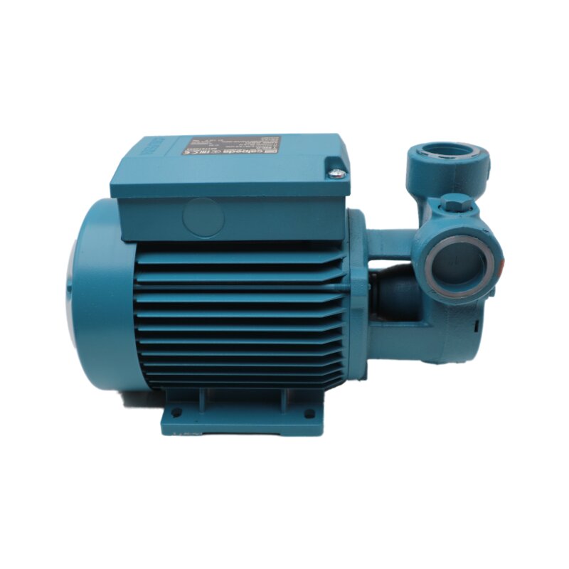 Calpeda T65E-R Pumpe Peripheralpumpe Zahnradpumpe peripheral pump