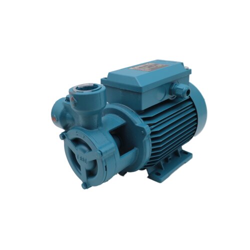Calpeda T65E-R Pumpe Peripheralpumpe Zahnradpumpe peripheral pump