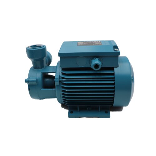 Calpeda T65E-R Pumpe Peripheralpumpe Zahnradpumpe peripheral pump