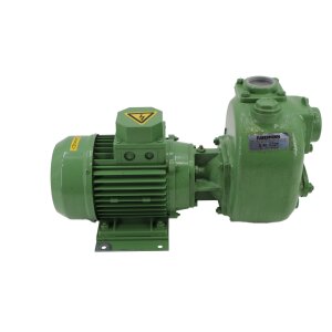 Victor Pumps S 40 G32T Saugpumpe Kreiselpumpe Pumpe...