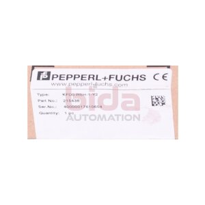Pepperl + Fuchs KFD0-RSH1-Y2 Relaisbaustein Relay Module