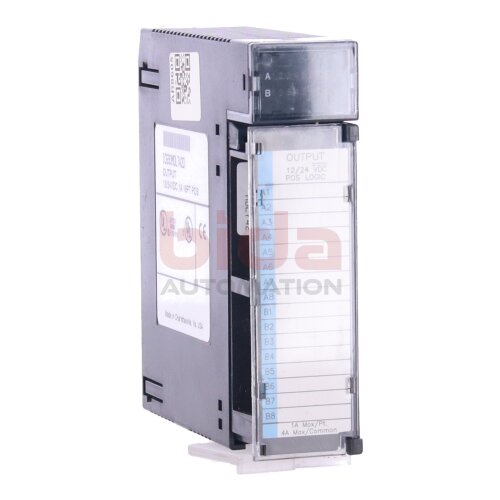 Fanuc IC693MDL742D Ausgangsmodul Output module