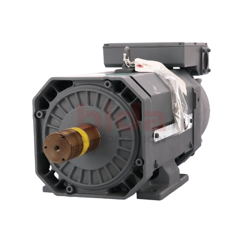 Mitsubishi SJ-PF11-01 Spindelmotor Spindle Engine 200-230V