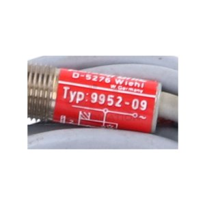 Pulsotronic 9952-09 Nährungsschalter Proximity Switch