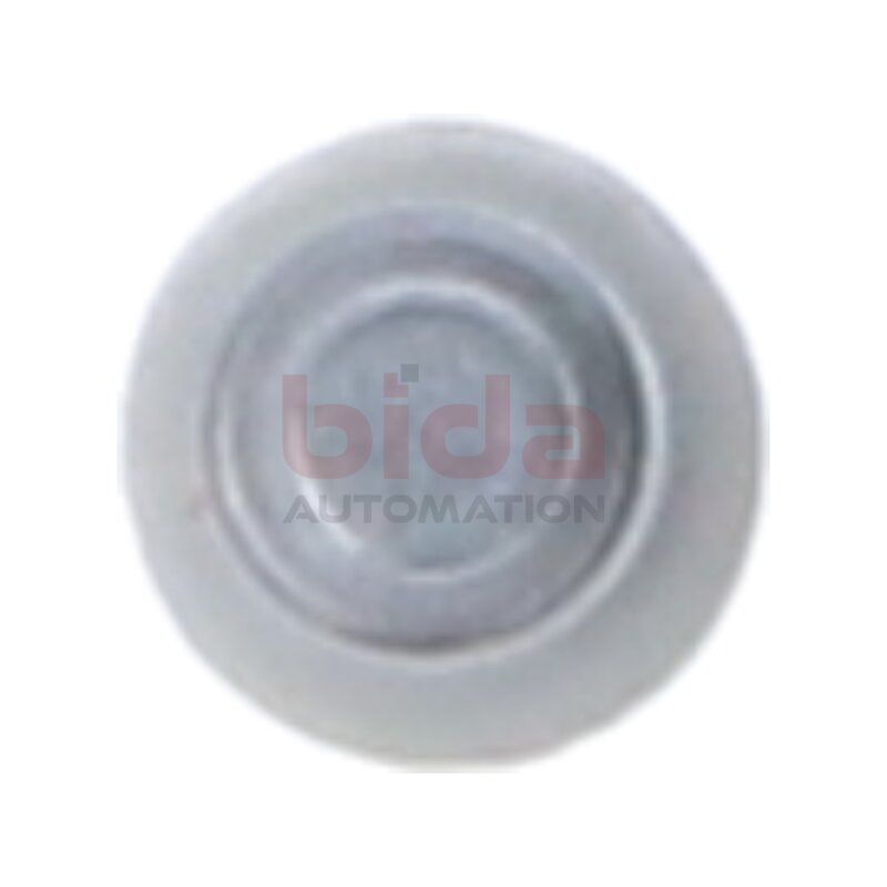 Siemens 5SE2 304 / 5SE2304  NEOZED-Sicherungseinsatz / fuse-link  400V AC , 250V DC