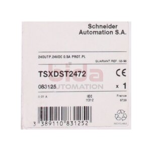 Schneider TSXDST2472 Ausgangsmodul-Terminal Output...