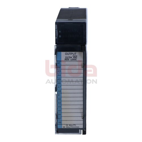 Fanuc IC693MDL742D Ausgabe‑Modul / Output module 12/24 V DC