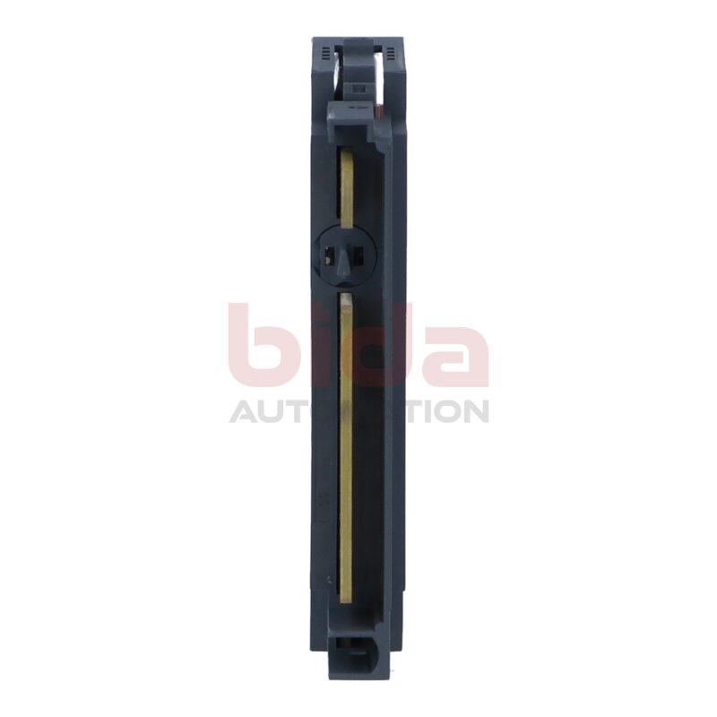 Allen-Bradley 1734-IE2VK Analog‑Eingangsmodul / Analogue input module  24 V DC