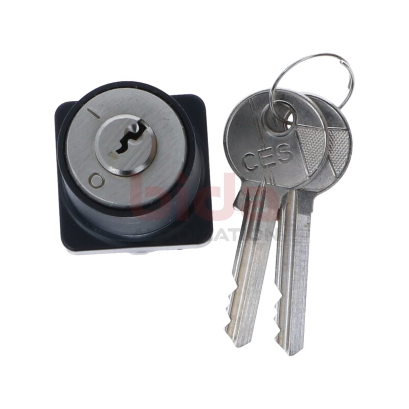 Telemecanique D1LY302 (026150) Drehschloss Rotary Key Switch